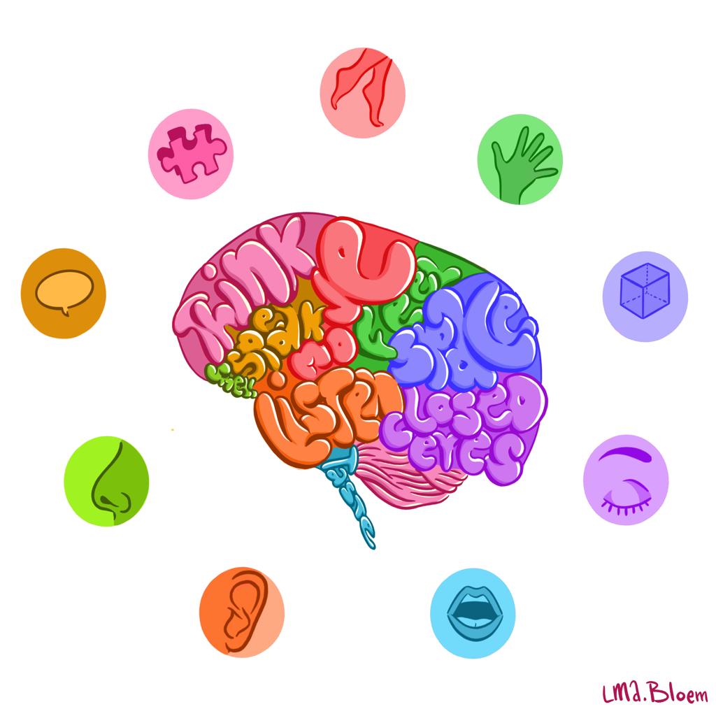 Illustratie hersenen met hun functies